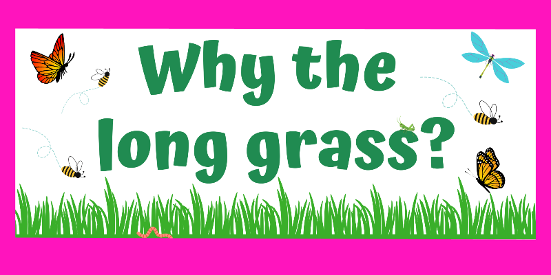 Why the long grass? 